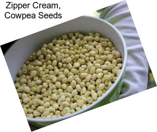 Zipper Cream, Cowpea Seeds