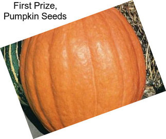 First Prize, Pumpkin Seeds