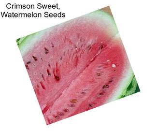 Crimson Sweet, Watermelon Seeds