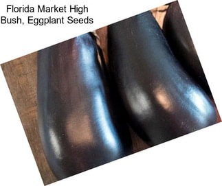 Florida Market High Bush, Eggplant Seeds