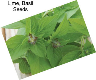Lime, Basil Seeds