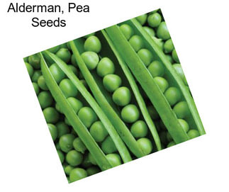 Alderman, Pea Seeds