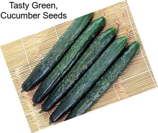 Tasty Green, Cucumber Seeds
