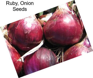 Ruby, Onion Seeds