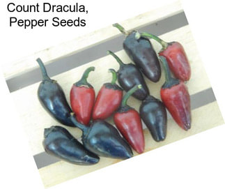 Count Dracula, Pepper Seeds