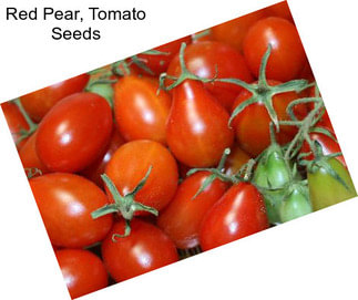 Red Pear, Tomato Seeds