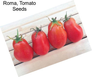 Roma, Tomato Seeds