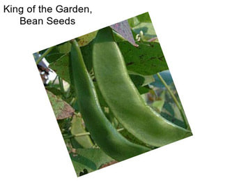 King of the Garden, Bean Seeds