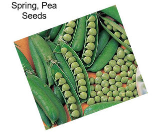 Spring, Pea Seeds