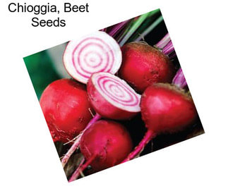 Chioggia, Beet Seeds