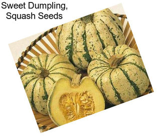 Sweet Dumpling, Squash Seeds