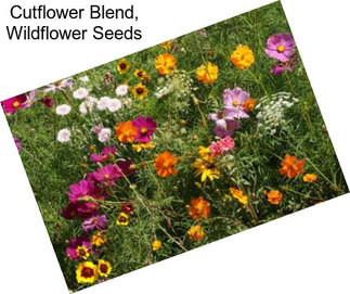 Cutflower Blend, Wildflower Seeds