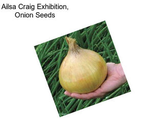 Ailsa Craig Exhibition, Onion Seeds