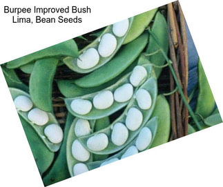 Burpee Improved Bush Lima, Bean Seeds