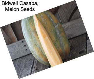 Bidwell Casaba, Melon Seeds