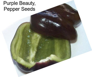 Purple Beauty, Pepper Seeds