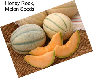 Honey Rock, Melon Seeds