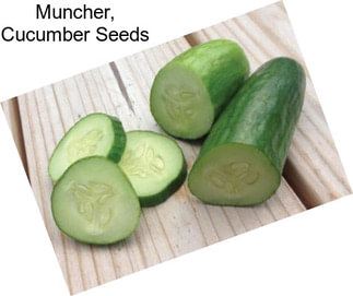 Muncher, Cucumber Seeds