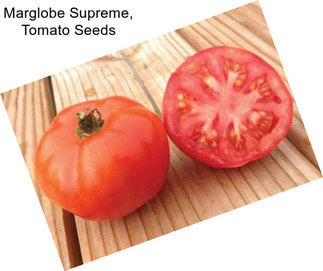 Marglobe Supreme, Tomato Seeds