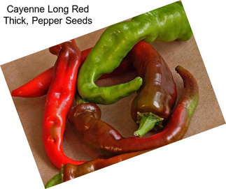 Cayenne Long Red Thick, Pepper Seeds