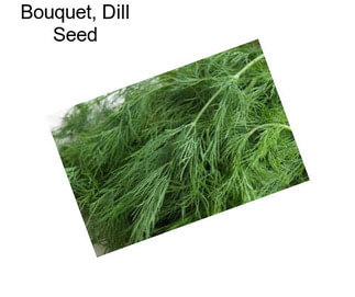 Bouquet, Dill Seed