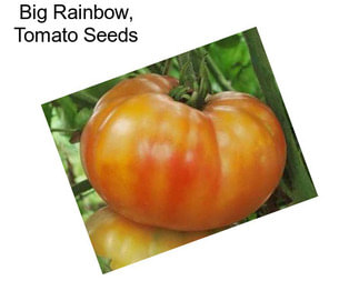 Big Rainbow, Tomato Seeds