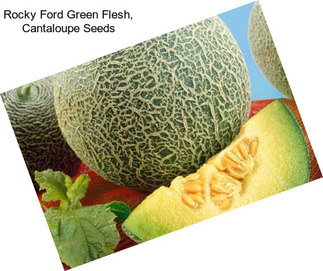 Rocky Ford Green Flesh, Cantaloupe Seeds