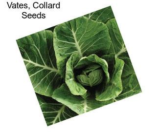 Vates, Collard Seeds