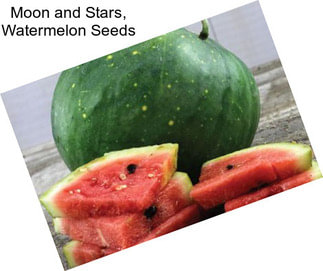 Moon and Stars, Watermelon Seeds