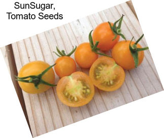 SunSugar, Tomato Seeds