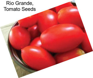 Rio Grande, Tomato Seeds