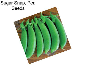 Sugar Snap, Pea Seeds