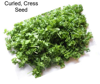 Curled, Cress Seed