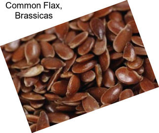 Common Flax, Brassicas