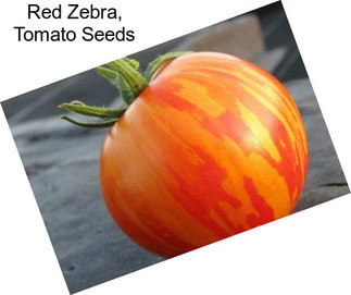 Red Zebra, Tomato Seeds