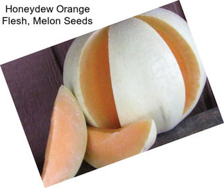 Honeydew Orange Flesh, Melon Seeds