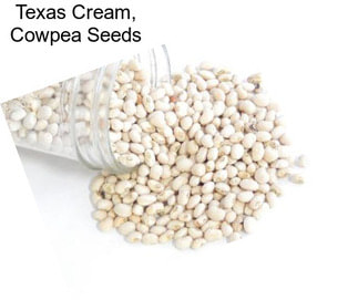 Texas Cream, Cowpea Seeds