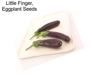 Little Finger, Eggplant Seeds