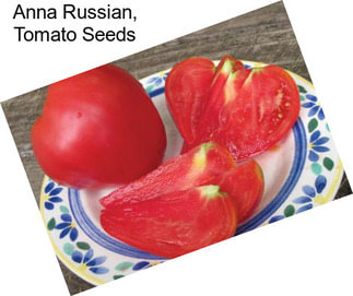 Anna Russian, Tomato Seeds