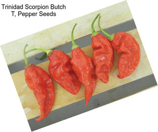 Trinidad Scorpion Butch T, Pepper Seeds