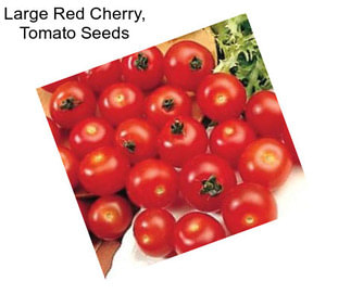 Large Red Cherry, Tomato Seeds