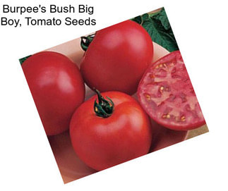 Burpee\'s Bush Big Boy, Tomato Seeds