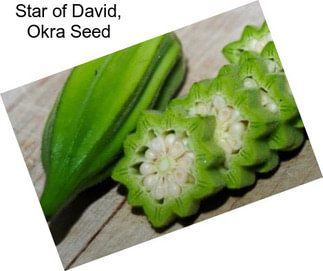 Star of David, Okra Seed