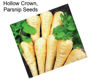 Hollow Crown, Parsnip Seeds