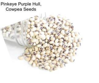 Pinkeye Purple Hull, Cowpea Seeds
