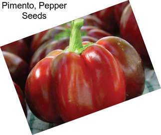 Pimento, Pepper Seeds