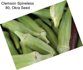 Clemson Spineless 80, Okra Seed