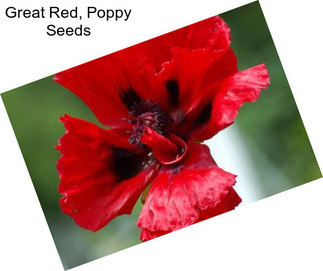 Great Red, Poppy Seeds