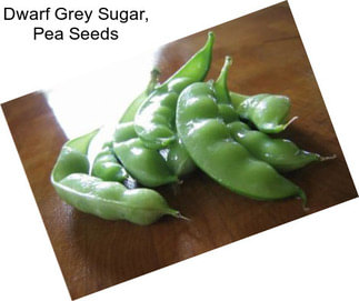 Dwarf Grey Sugar, Pea Seeds