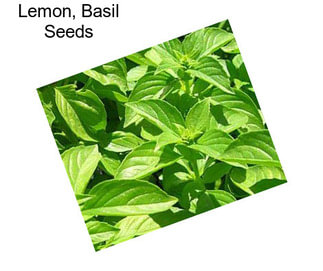 Lemon, Basil Seeds